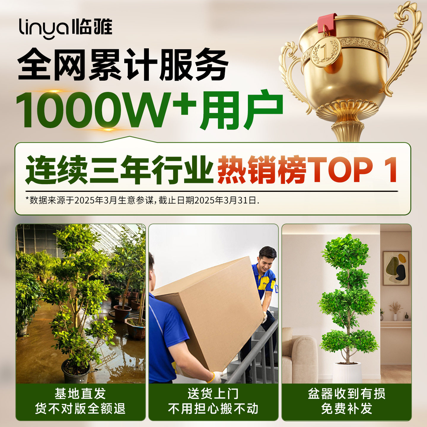 造型金钱榕摇钱树盆栽客厅大型绿植室内好养植物乔迁新居开业送礼,淘宝优惠券,粉丝福利购,淘宝优惠卷