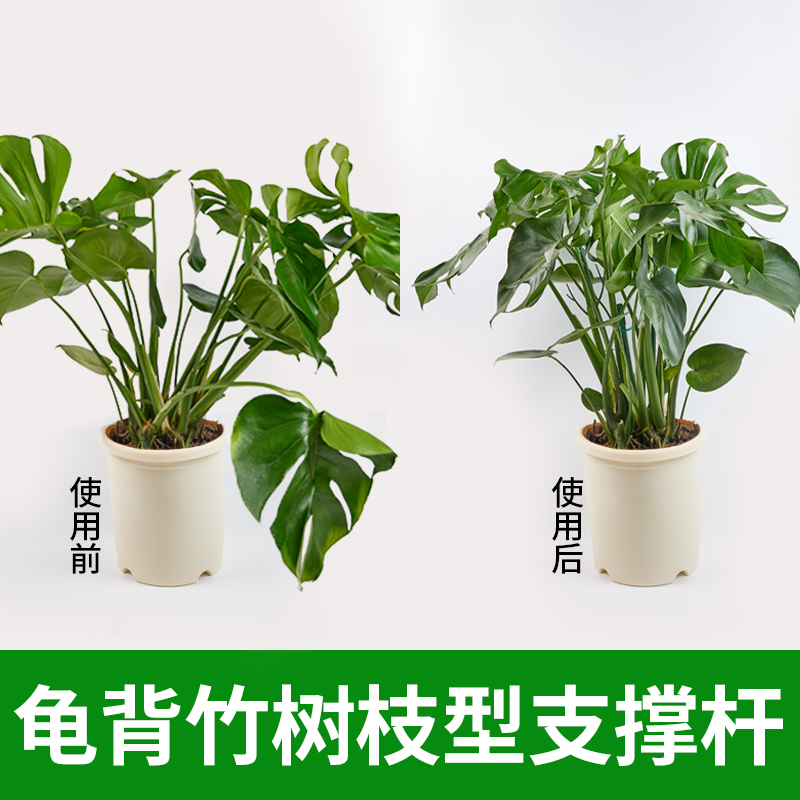 花架支撑杆龟背竹支撑架老桩月季植物爬藤防倒伏固定园艺造型支架-图1