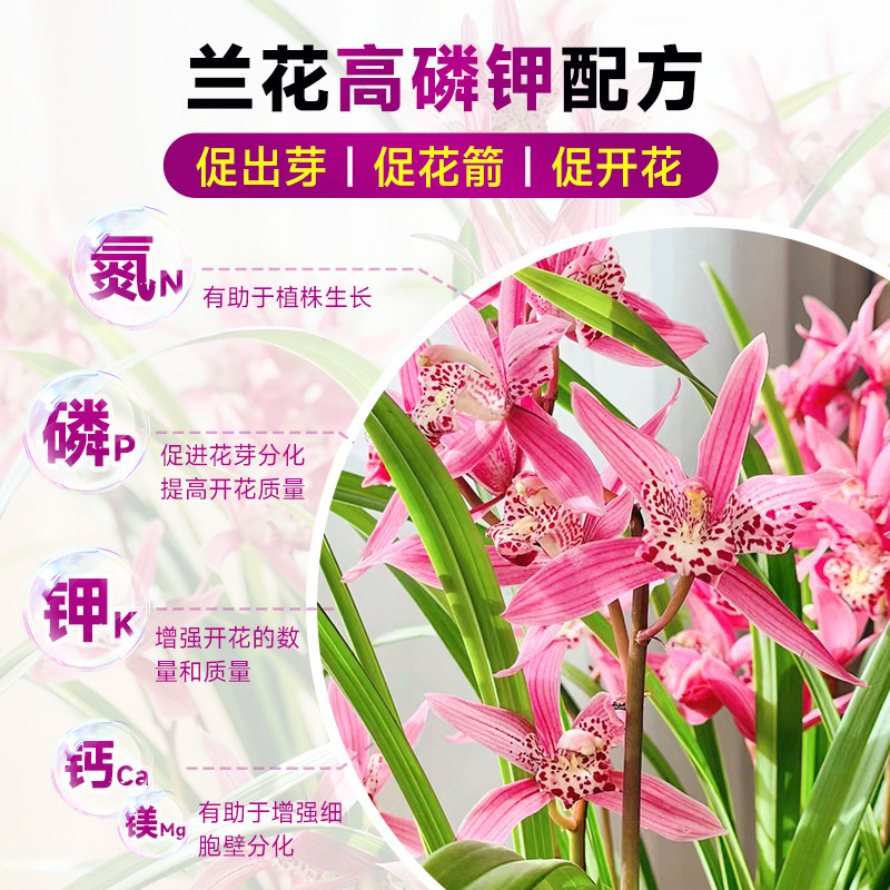 兰花多箭素兰灵王蝴蝶兰蕙兰爆芽素多剑王生根发芽开花专用营养液,淘宝优惠券,粉丝福利购,淘宝优惠卷