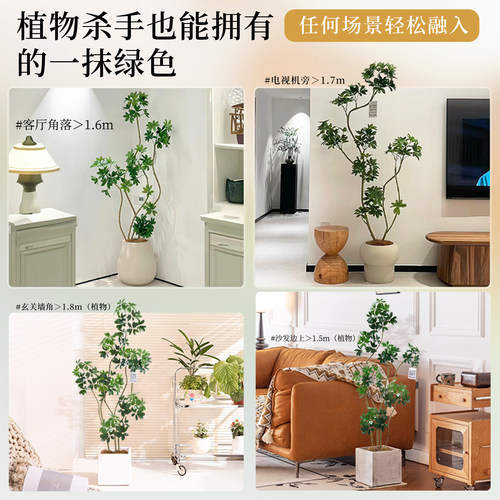 鸭脚木仿真绿植室内客厅高端轻奢大盆栽仿生植物落地装饰摆件假树 - 图3