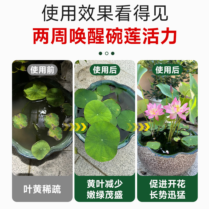 碗莲专用营养液水培植物睡莲花荷花促进开花的肥料土培通用水溶肥,淘宝优惠券,粉丝福利购,淘宝优惠卷