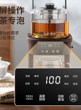 全自动纯钛萃茶器煮茶壶