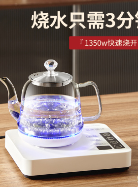 纯钛全自动上水烧水壶家用