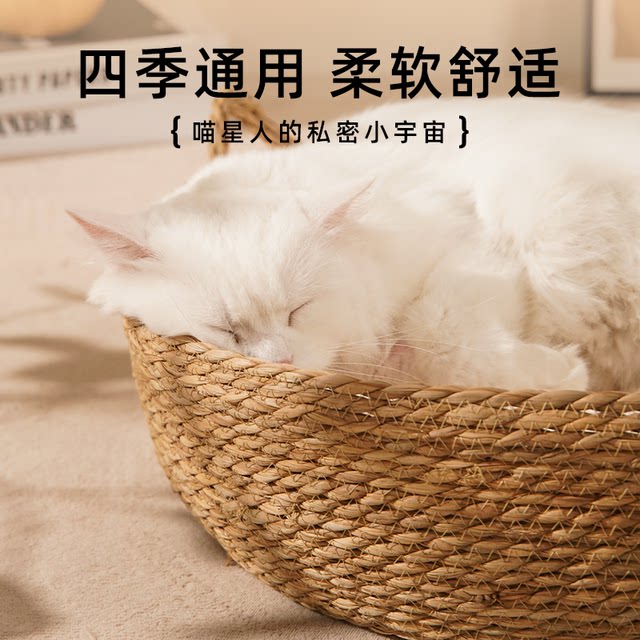 Cat nests are universal for winter, all seasons Cat nests are universal for winter, all seasons