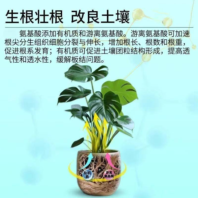 正品高浓度氨基酸浓缩叶面肥生根壮苗促花坐果增产增收强效水溶肥,淘宝优惠券,粉丝福利购,淘宝优惠卷