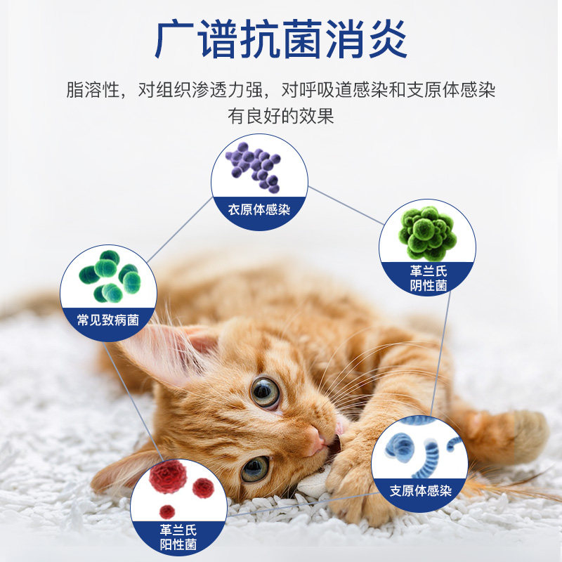 合宠宠舒宁盐酸多西环素片宠物狗猫止咳平喘鼻支窝咳支气管炎50mg,淘宝优惠券,粉丝福利购,淘宝优惠卷