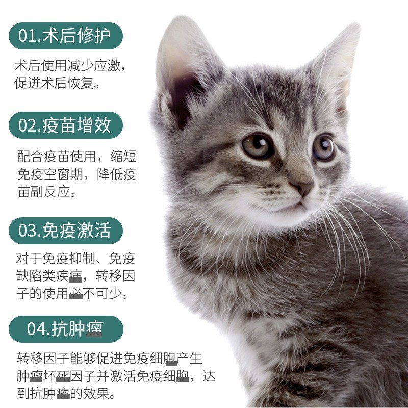 博莱得利猫用转移因子口服液博莱宠猫咪免疫抗病毒感染促恢复40ml-图0