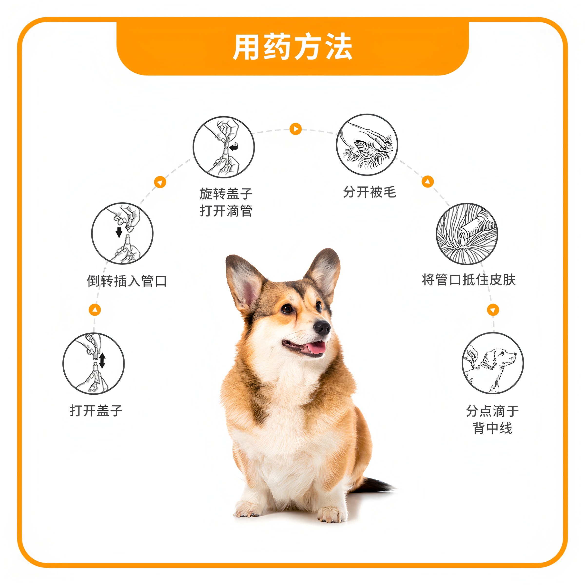 进口爱沃克小中大型犬宠物狗狗犬体内外驱虫药滴剂跳蚤虱子螨虫等,淘宝优惠券,粉丝福利购,淘宝优惠卷