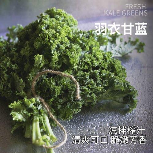 新鲜羽衣甘蓝500g 嫩叶甘兰kale健身榨汁蔬菜沙拉食材西餐配菜 - 图0