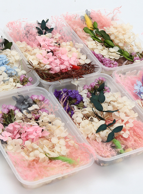 永生花雏菊满天星幼儿园手工diy