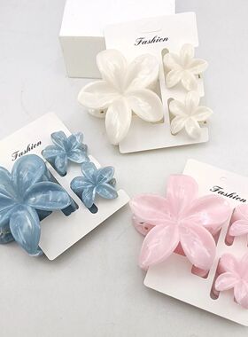 3/6/9/12PCS Hawaiian Gradient Flower Hair Claw Clip For Wome