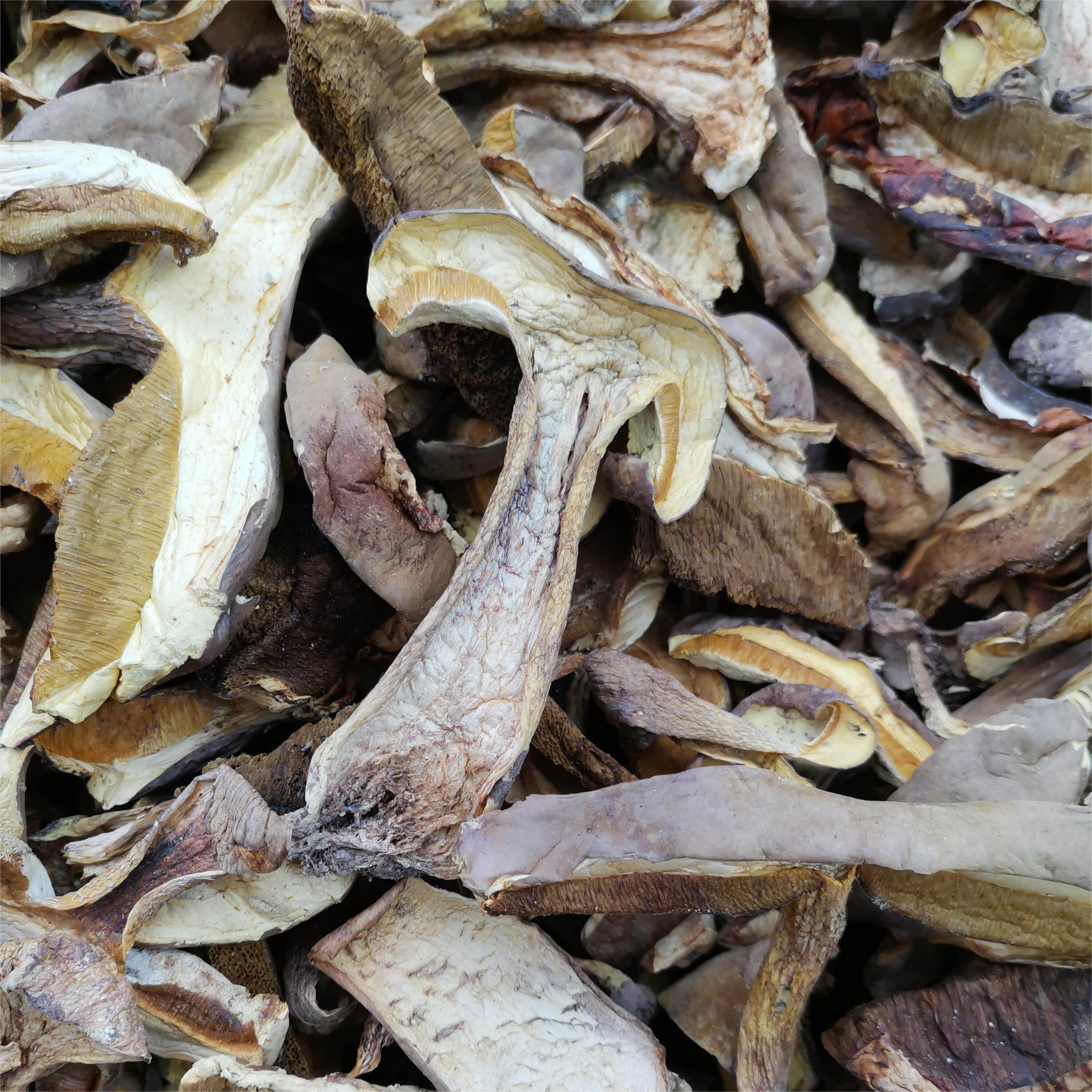 云南野生黄牛肝菌2022新货特级黄赖头牛肝菌黄香牛肝菌纯天然干片