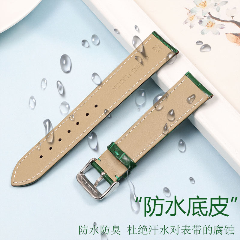 绿色劳力士精工阿玛尼天梭萧邦dw cwt配件