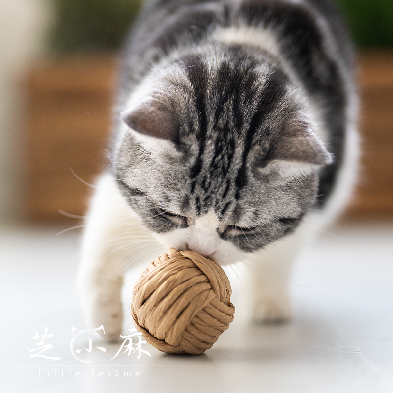 芝小麻 内外兼修虫瘿果纸绳微弹力猫薄荷自嗨宠物逗猫猫咪玩具球