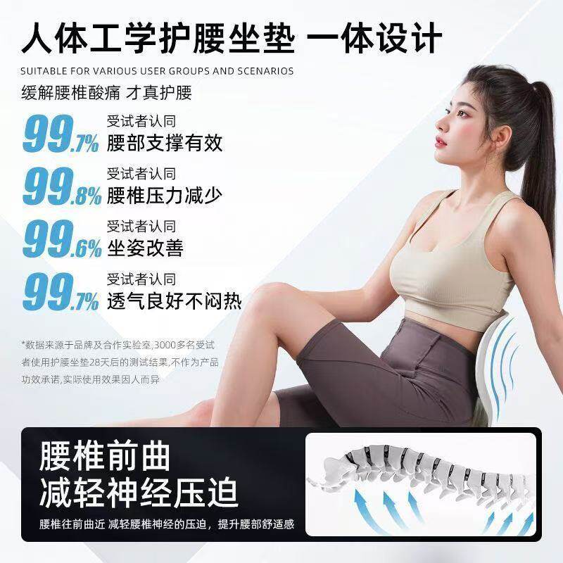 【下单立减50】人体工学护腰坐垫椅子办公室工位久坐神器腰部支撑