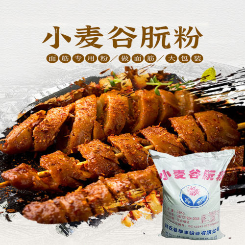 雪菊谷朊粉 100目 面条饺子皮混沌皮面包馒头包子商用谷原粉包邮 - 图0