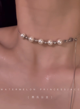 「梦波南珠」珍珠项链女高级感夏天锁骨链新款爆款抽拉颈链配饰潮