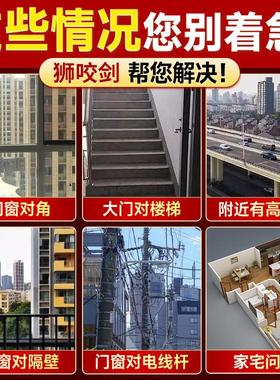 狮咬剑 全铜狮子头八卦镜虎头牌兽头挂件睚眦门神摆件狮子咬剑