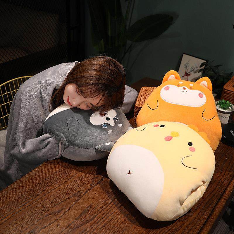 抱枕被子两用办公室午睡枕头毯子二合一靠枕睡觉女生车用靠垫折叠,淘宝优惠券,粉丝福利购,淘宝优惠卷