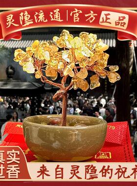 杭州灵隐天然黄水晶发财树聚宝盆招财好运摆件办公桌平安汽车饰品