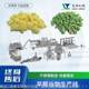 Breakfast cereal circle processing equipment multi-functional ready-to-eat cereal twin screw puffer machine snack food production line manufacturer