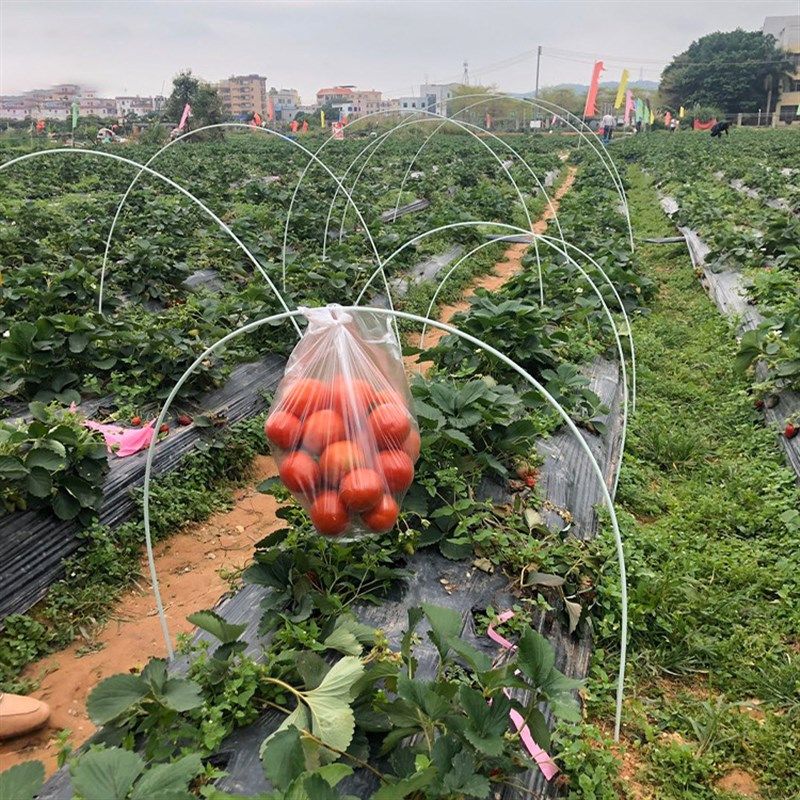 塑料拱棚支架弓型防冻防虫薄膜小棚二米实心冬季防虫网保温棚撑杆,淘宝优惠券,粉丝福利购,淘宝优惠卷
