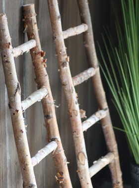 天然白桦木梯子落地摆件幼儿园橱窗造景花园庭院摄影装饰拍摄道具