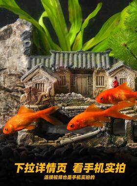中式鱼缸摆件创意鱼虾躲避屋水族箱草缸造景装饰微景观古建筑模型