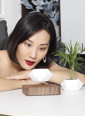反重力磁悬浮盆栽创意小植物花盆家居客厅办公室桌面摆件高端礼品