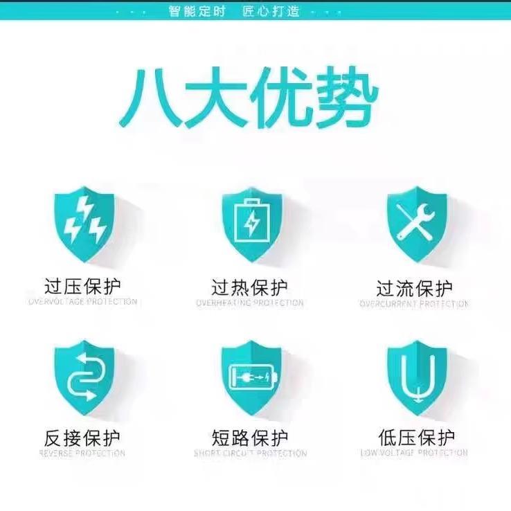 12V20AH充电器12V伏20安电动车单个电瓶充电器铅酸蓄电池智能通用 - 图1