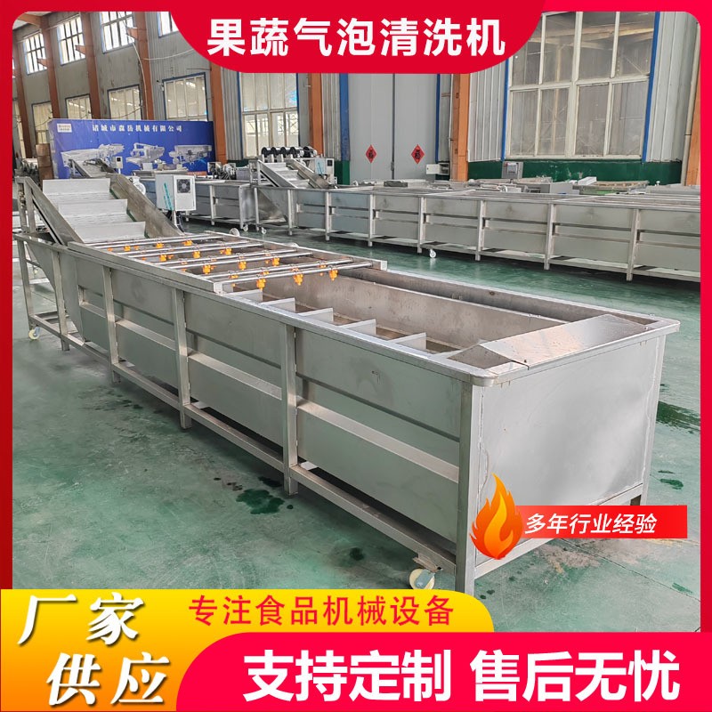 定制蓝莓气泡清洗机气泡喷淋式杨桃清洗设备果蔬加工清洗流水线 - 图1