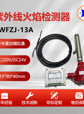 宝威燃控焙烧炉燃烧器火焰监测器BWFZJ-13A