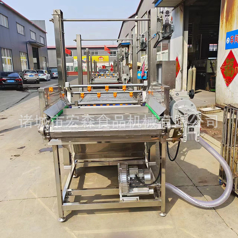 商用肉类解冻清洗鸡爪解冻清洗加工设备龙门架提升式气泡清洗机,淘宝优惠券,粉丝福利购,淘宝优惠卷