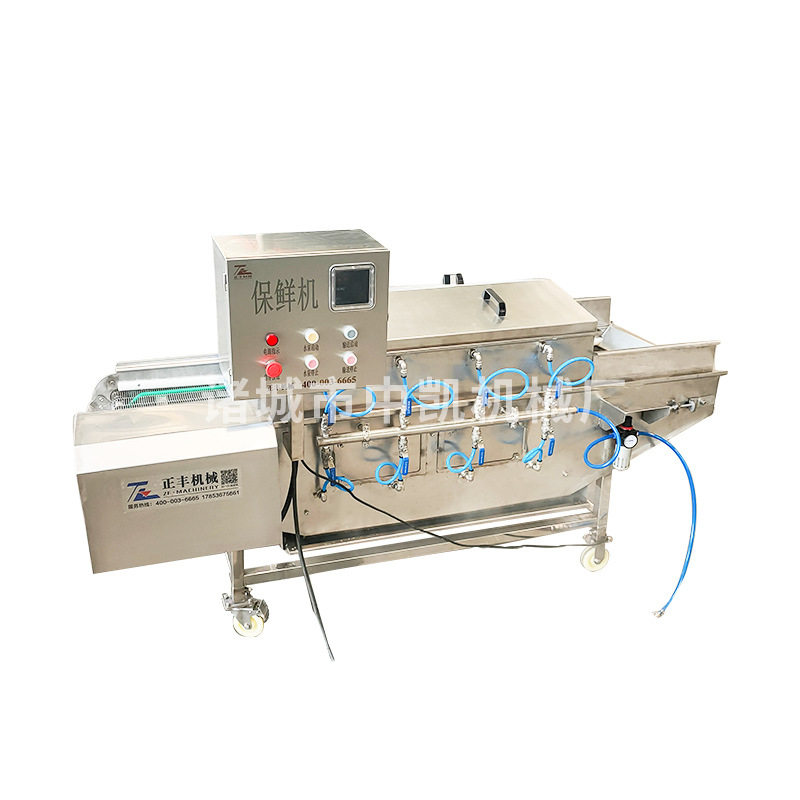 全自动挂冰保鲜机  速冻鱿鱼虾尾冷冻食品挂冰 火锅调理品挂冰机,淘宝优惠券,粉丝福利购,淘宝优惠卷