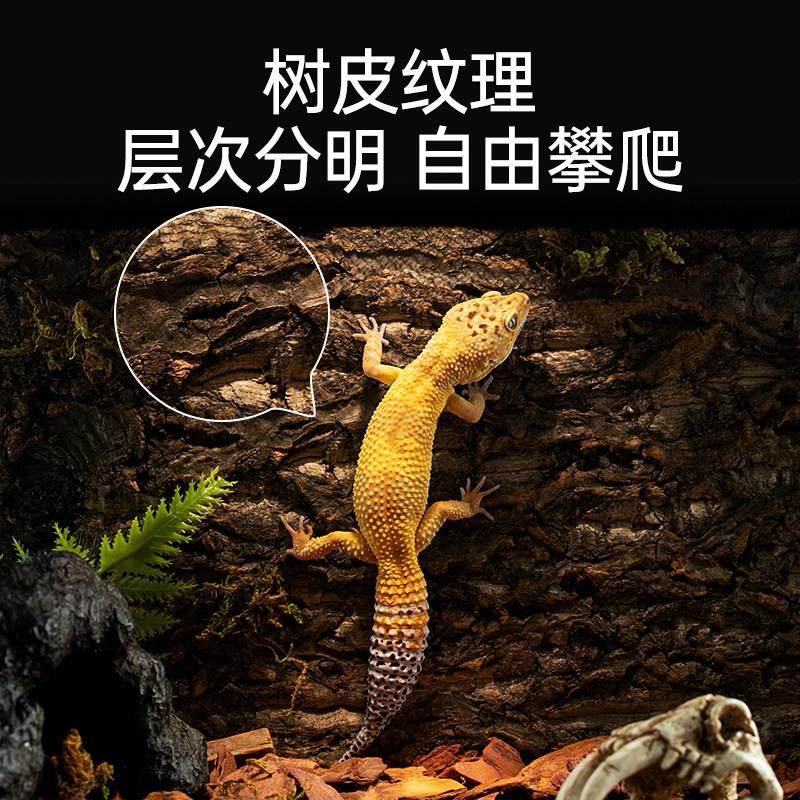 其鳞爬宠造景背景板天然香槟树皮守宫蜥蜴饲养箱专用生态龟缸造景,淘宝优惠券,粉丝福利购,淘宝优惠卷
