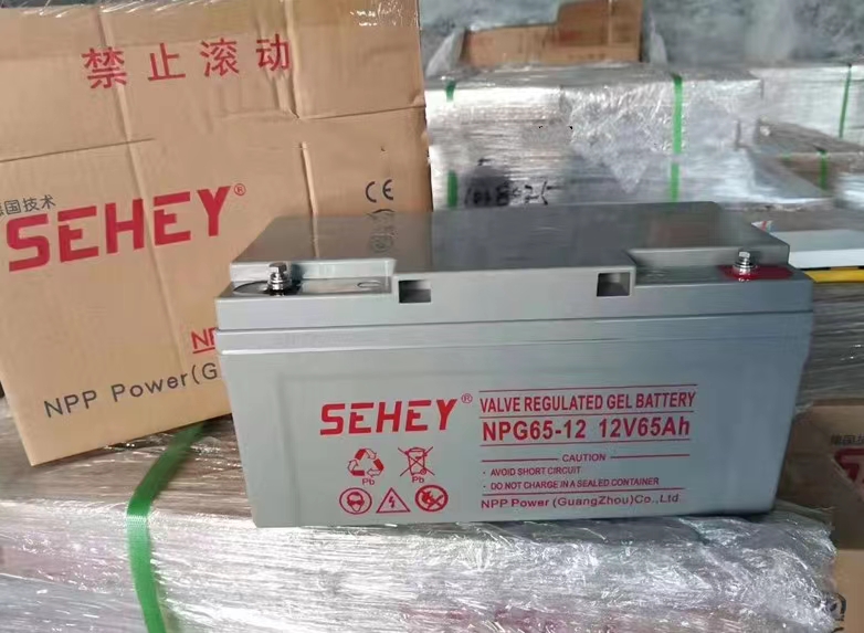 SEHEY西力蓄电池NPG100-12/12V5a7a17a24a38a40a65a100a120a150ah - 图0