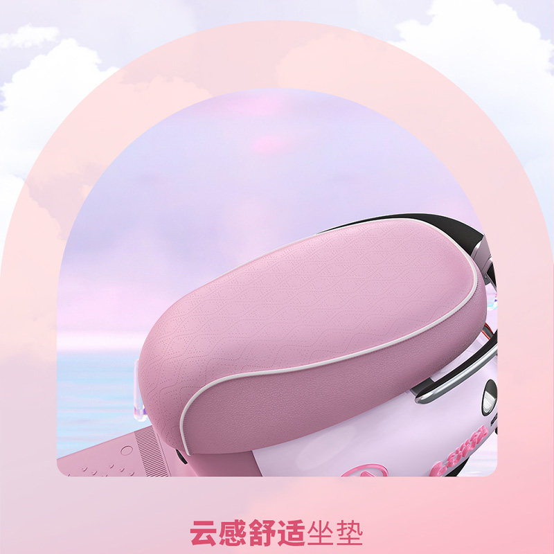  爱玛电动摩托车