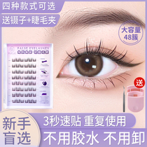 Free Glue Self-Glued False Eyelash Natural Emulation Sunflowers Sloth Person Trilogy Eyelash Eyelash Free To Be Reused.