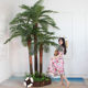 Large shopping mall tropical plant simulation coconut tree landscaping