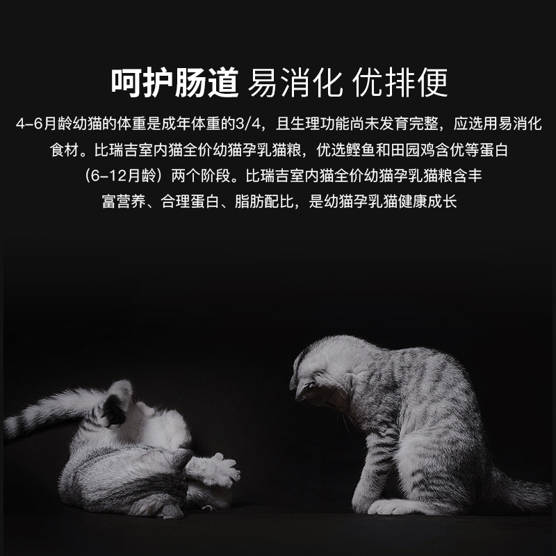 比瑞吉猫粮室内幼猫孕乳<a href=