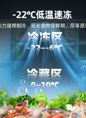 星星四门冰箱商用四开门酒店冷藏冷冻立式保鲜冰柜不锈钢厨房冰箱