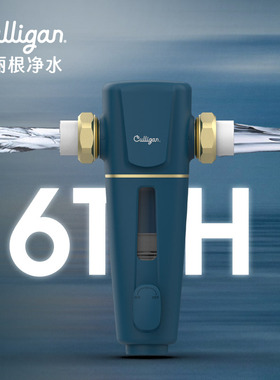 康丽根/culligan反冲洗前置
