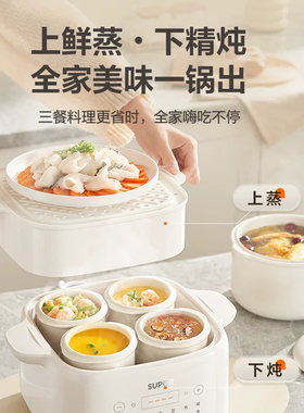 苏泊尔家用煲汤锅烹饪机电炖锅