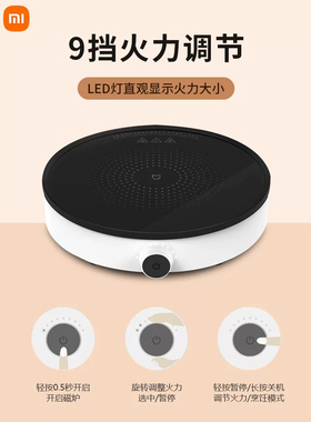 小米米家电磁炉青春版家用小型持续加热正品火锅炒菜汤锅套装宿舍