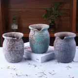 Сочные керамические цветочные горшки с большим калибром.