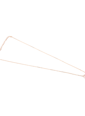 Swarovski/施华洛世奇天鹅项链