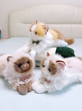 赛特嘟嘟围兜会叫布偶猫咪毛绒公仔暹罗猫三花儿童安抚玩偶礼物