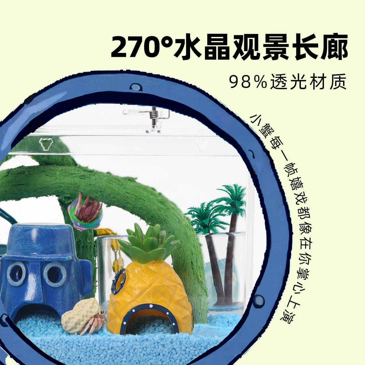 寄居蟹新手桌面饲养缸～防摔高透饲养箱比奇堡风格饲养套餐礼物,淘宝优惠券,粉丝福利购,淘宝优惠卷