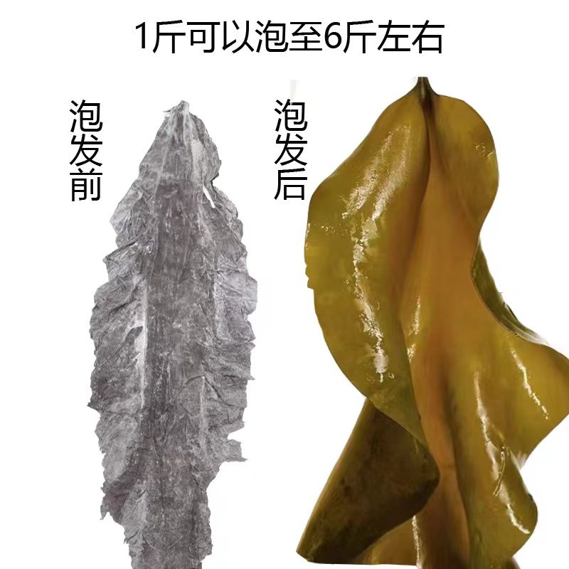 海带干货2斤厚整颗干海带昆布煲汤新鲜优质干带头丝片结批发散装-图1