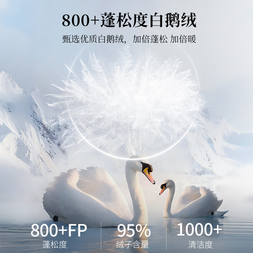 【赠被罩】君羽羽绒被加厚保暖冬被800蓬95白鹅绒单双人鹅绒被芯 - 图0